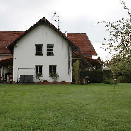 Krasny Apartman V Brane Luzickych Hor Cvikov Exterior foto