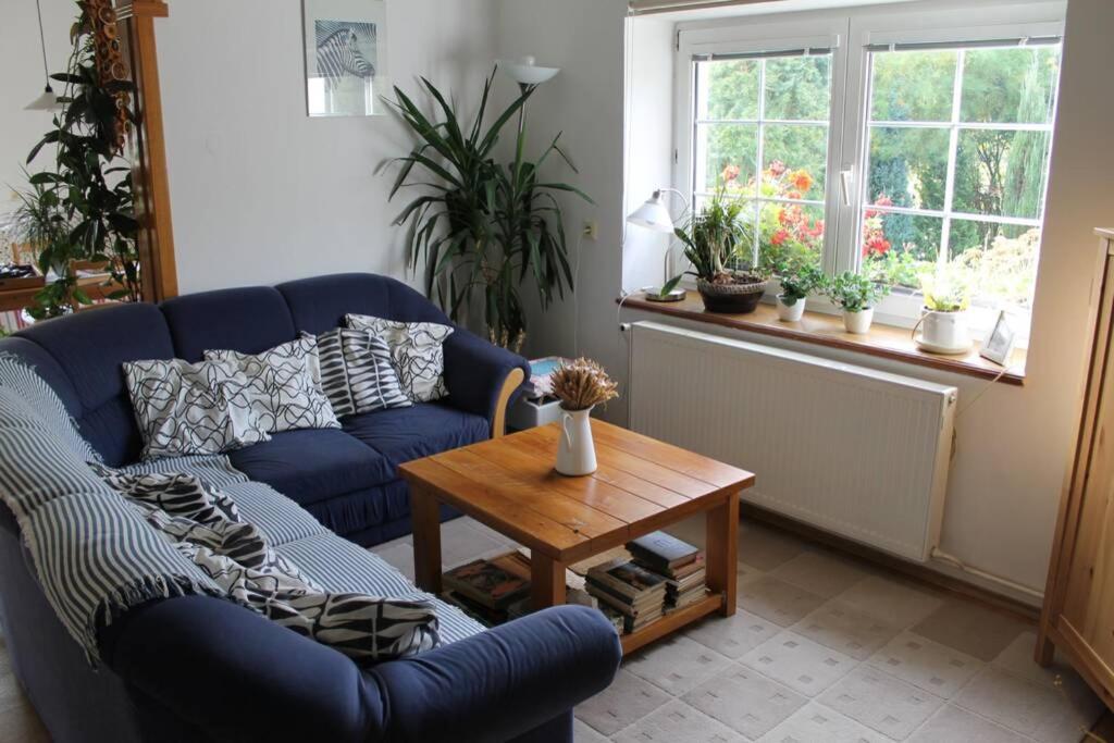 Krasny Apartman V Brane Luzickych Hor Cvikov Exterior foto