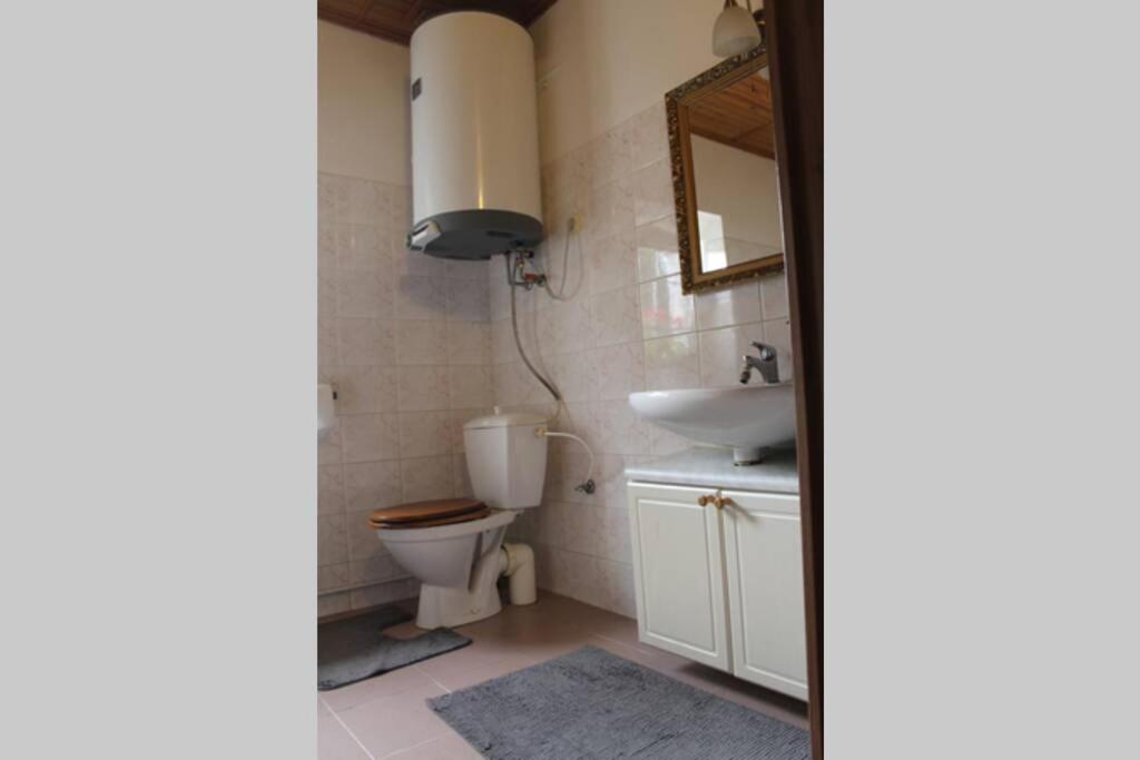Krasny Apartman V Brane Luzickych Hor Cvikov Exterior foto