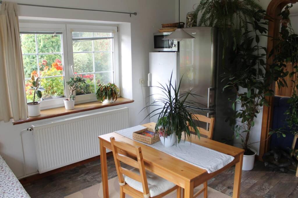 Krasny Apartman V Brane Luzickych Hor Cvikov Exterior foto