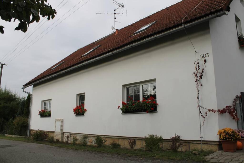 Krasny Apartman V Brane Luzickych Hor Cvikov Exterior foto