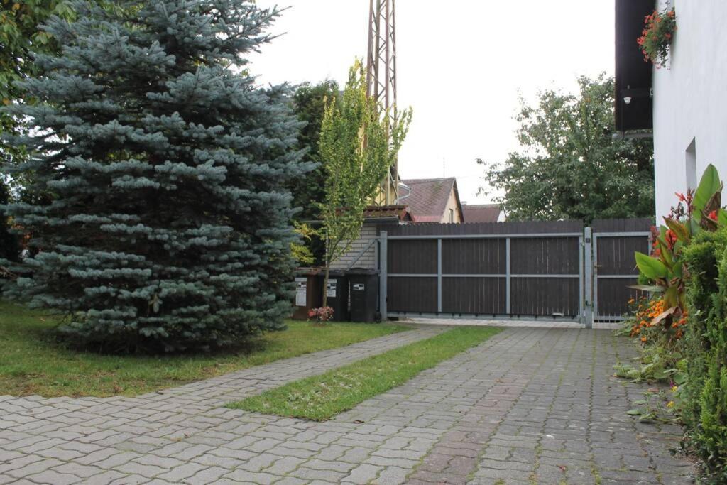 Krasny Apartman V Brane Luzickych Hor Cvikov Exterior foto