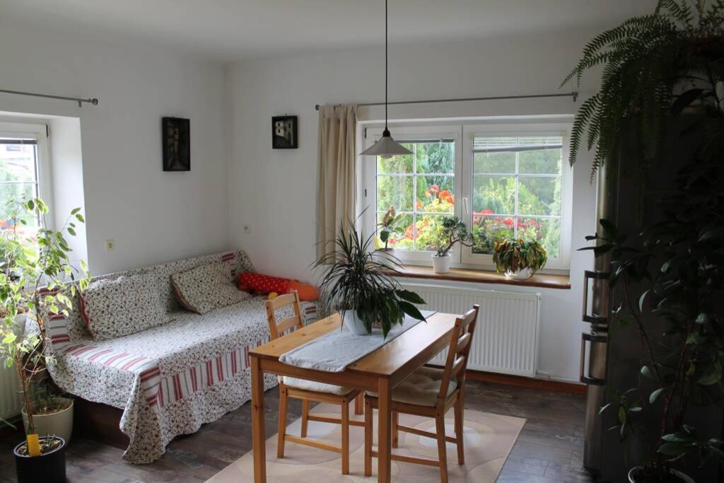 Krasny Apartman V Brane Luzickych Hor Cvikov Exterior foto