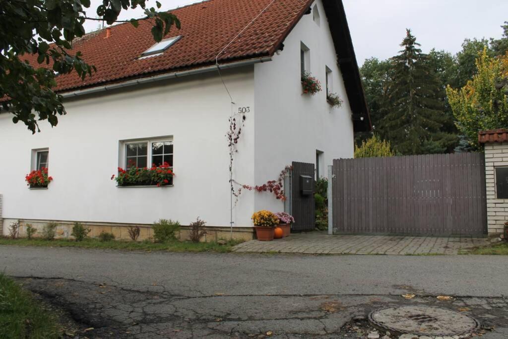 Krasny Apartman V Brane Luzickych Hor Cvikov Exterior foto