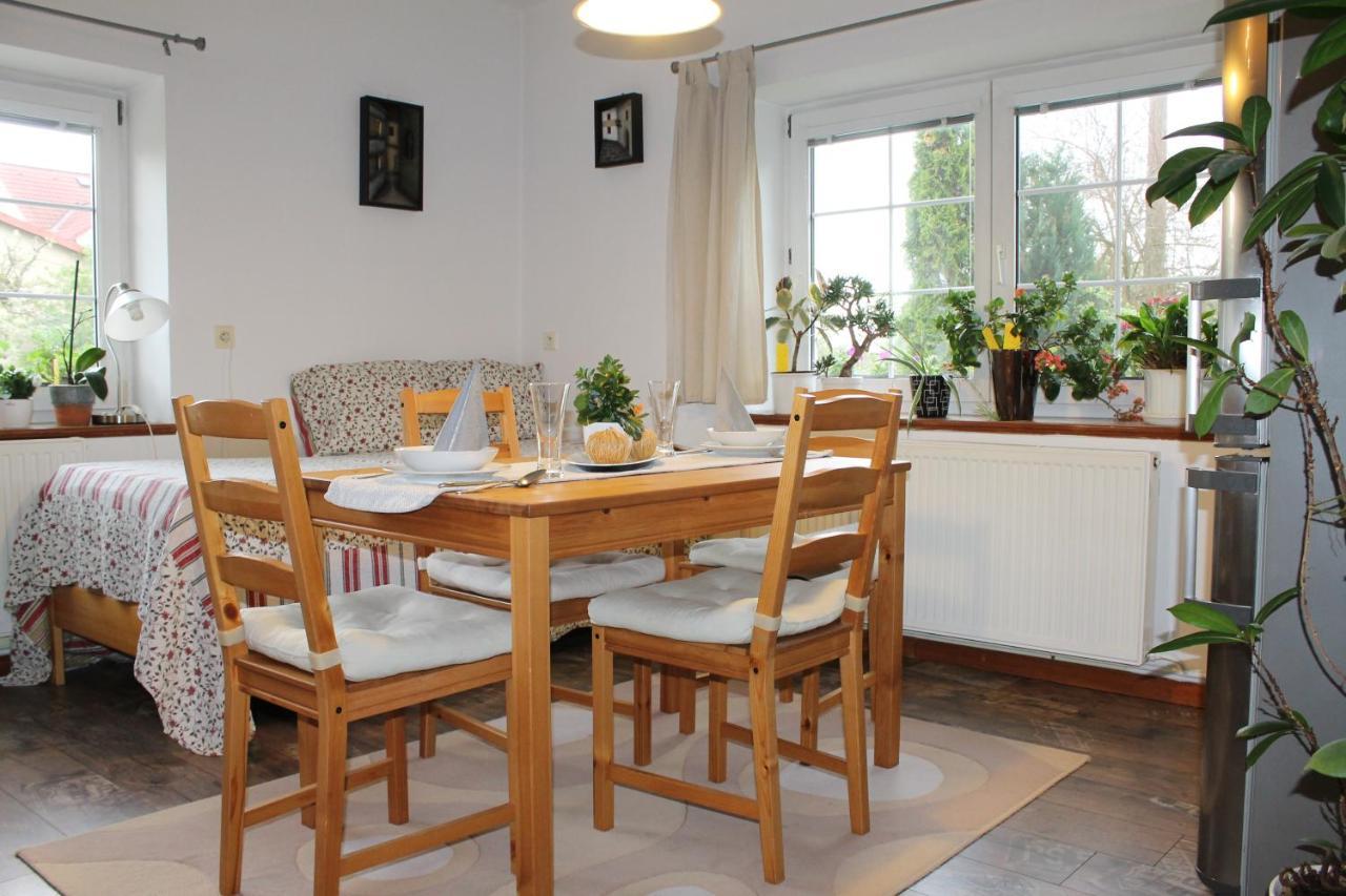 Krasny Apartman V Brane Luzickych Hor Cvikov Exterior foto