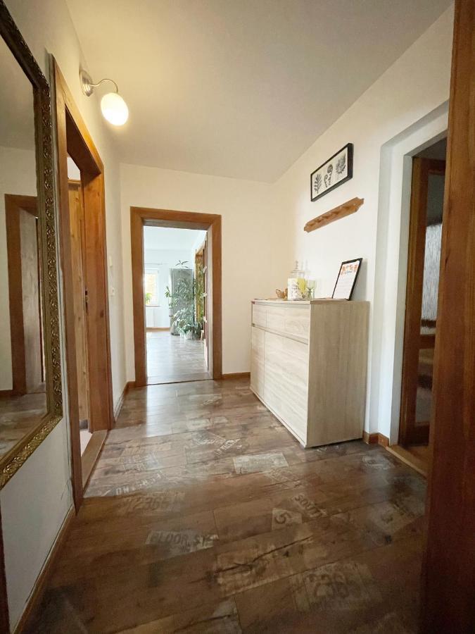 Krasny Apartman V Brane Luzickych Hor Cvikov Exterior foto
