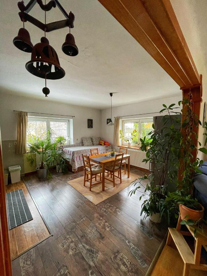 Krasny Apartman V Brane Luzickych Hor Cvikov Exterior foto
